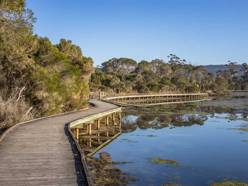 Lake Curalo Boardwalk, Eden, NSW