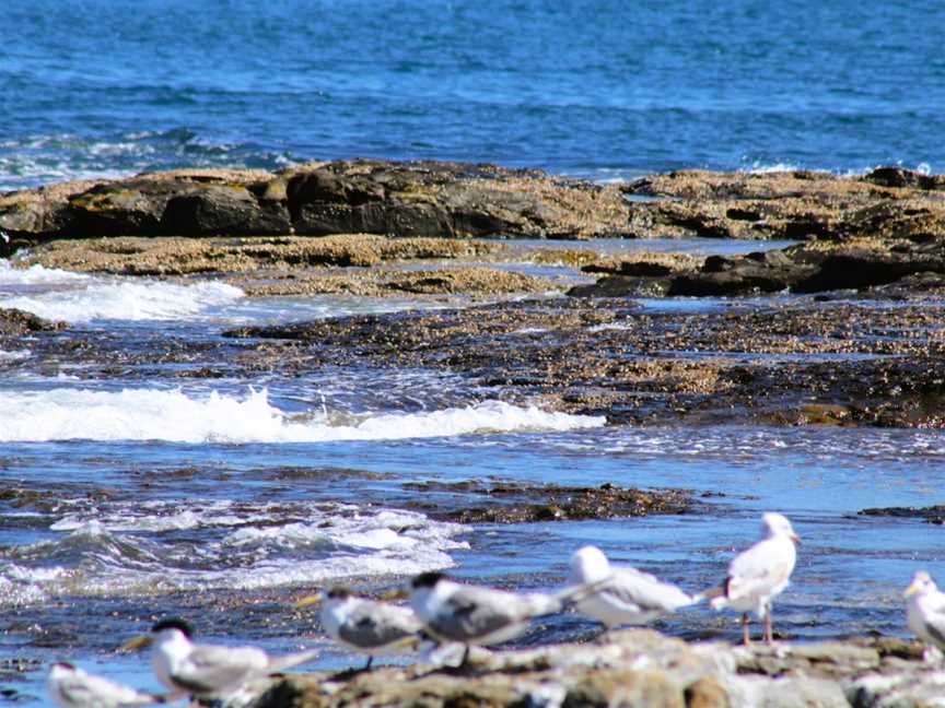 Bluff Beach, Iluka, NSW