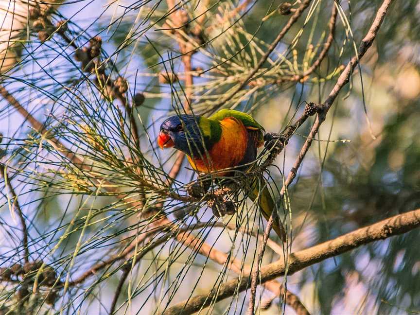 Dingo Creek Park, Wondai, QLD