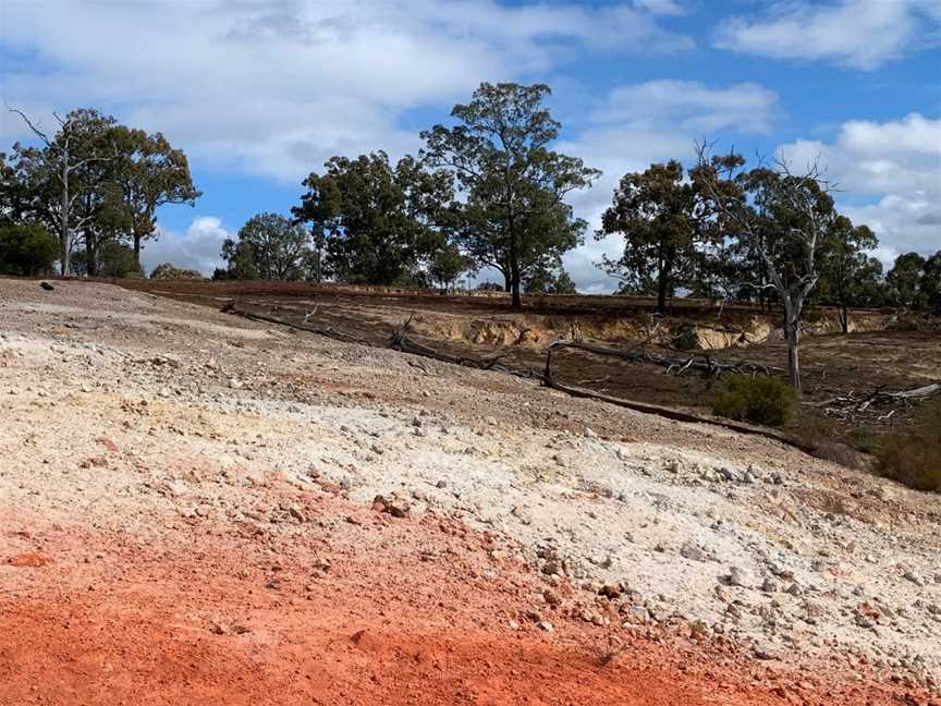 Burning Mountain Nature Reserve, Wingen, NSW