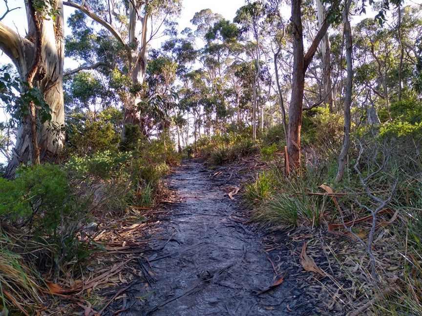 South Bruny National Park, Bruny Island, TAS