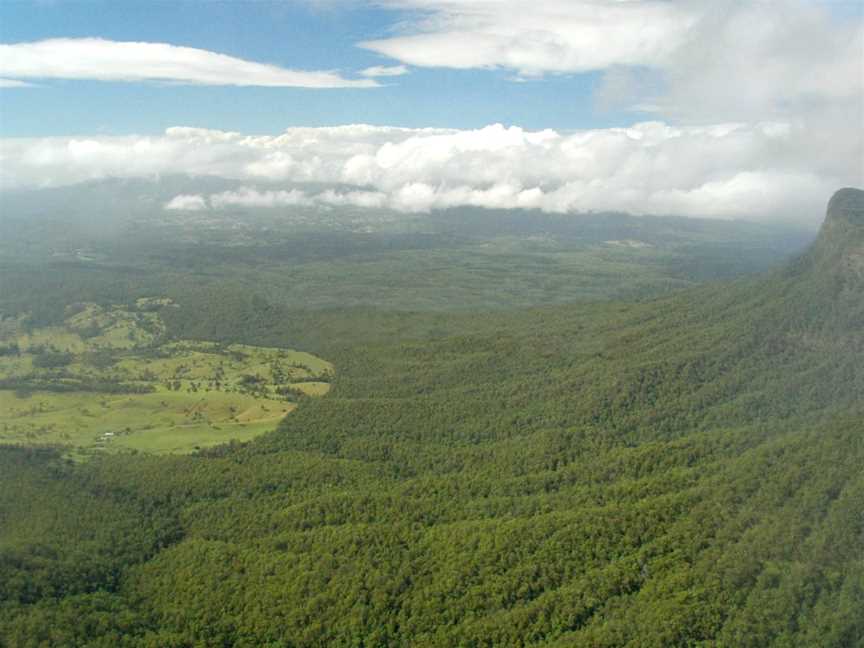 Border Ranges National Park, Cougal, NSW