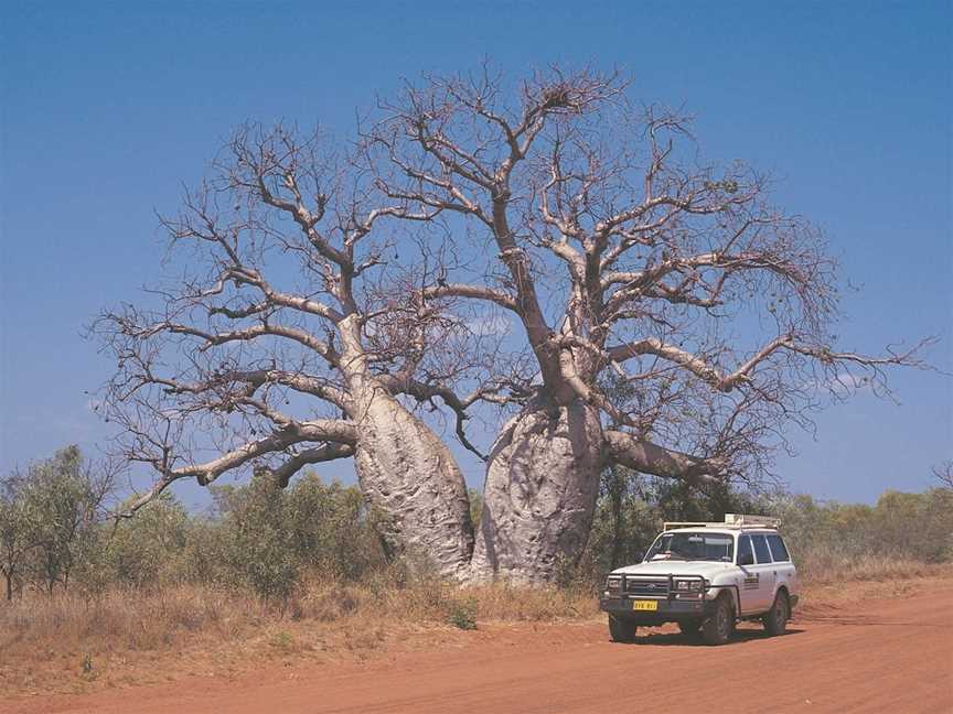 Gibb River Road, Derby, WA