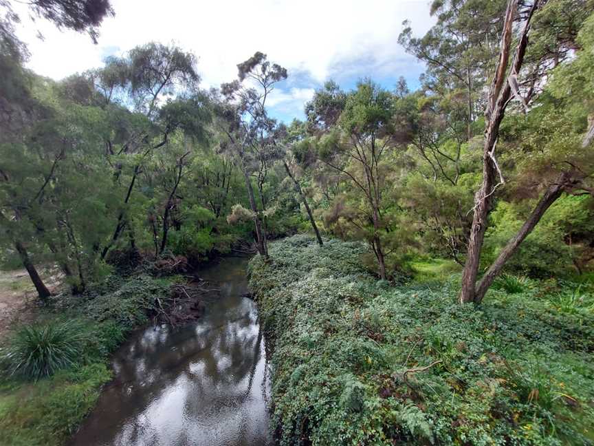 Gloucester National Park, Pemberton, WA