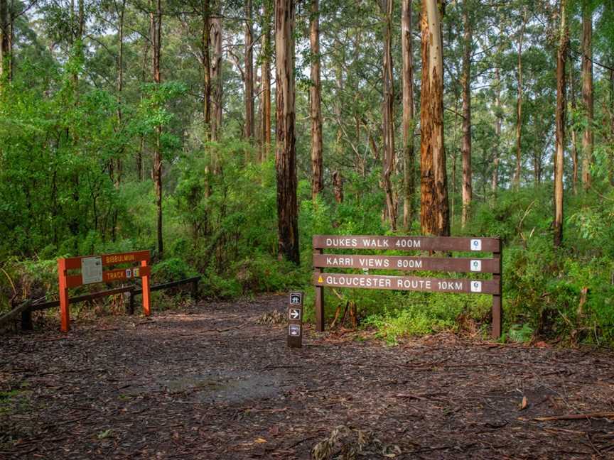 Gloucester National Park, Pemberton, WA