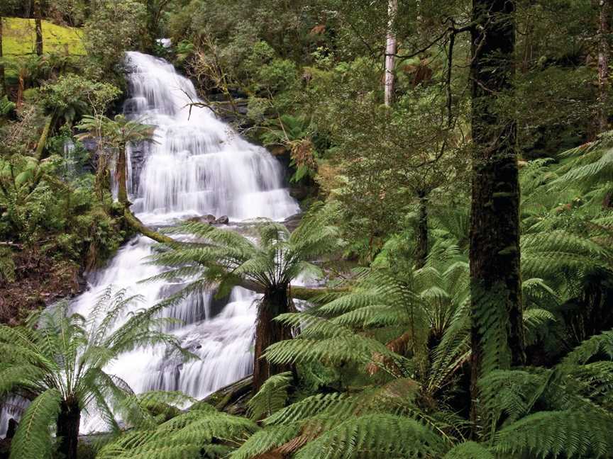 Great Otway National Park, Lorne, VIC