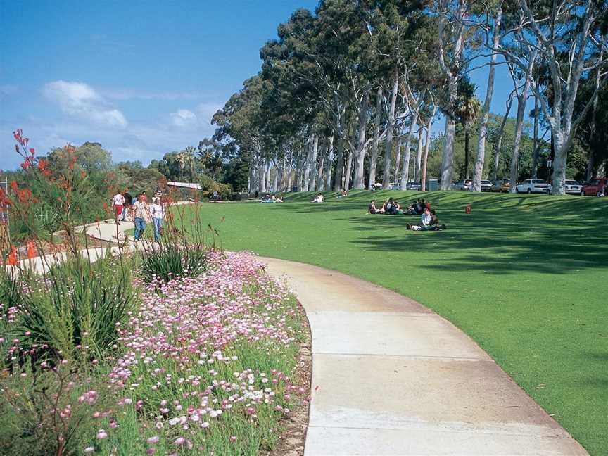 Kings Park Free Guided Walks, West Perth, WA