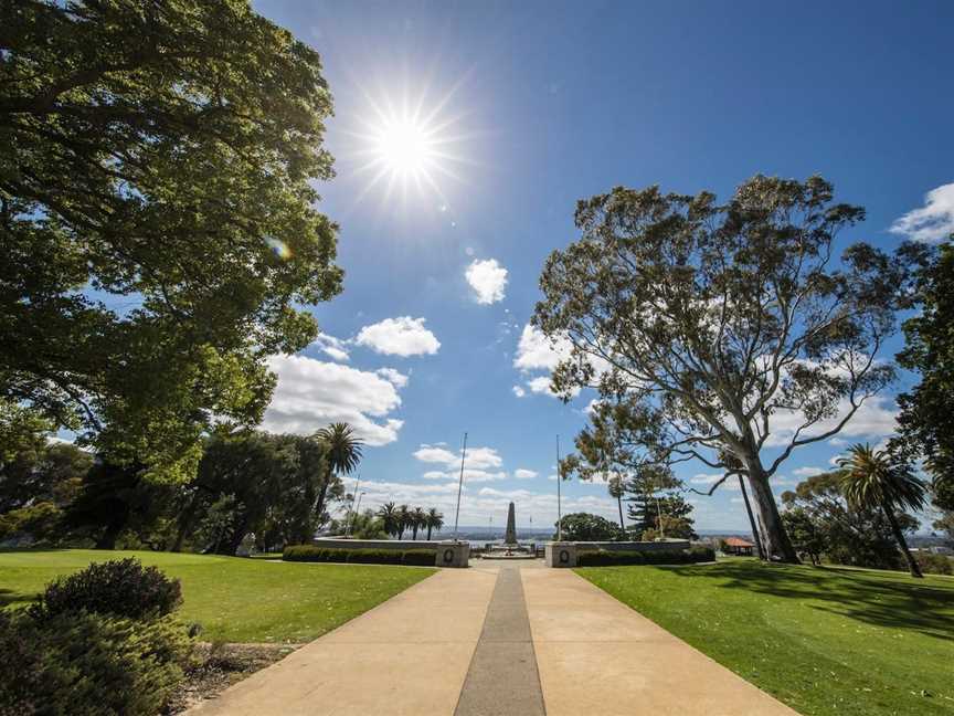 Kings Park Free Guided Walks, West Perth, WA