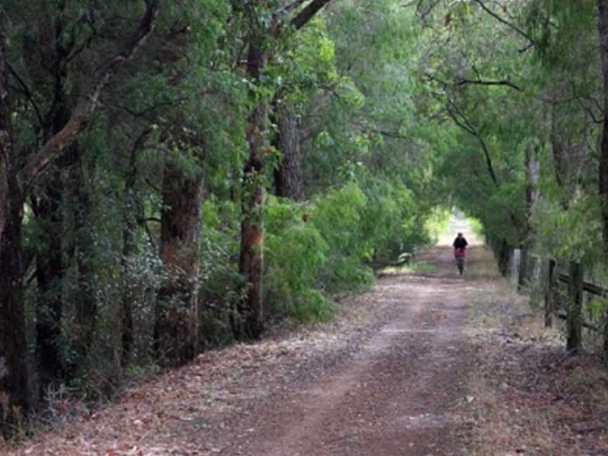 Wadandi Track, Margaret River, Cowaramup, WA