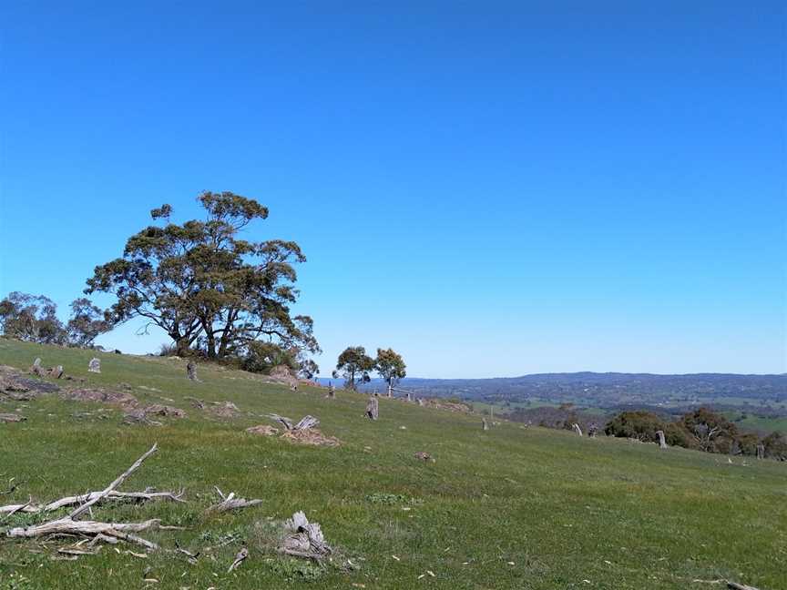 Warren Conservation Park, Mount Crawford, SA