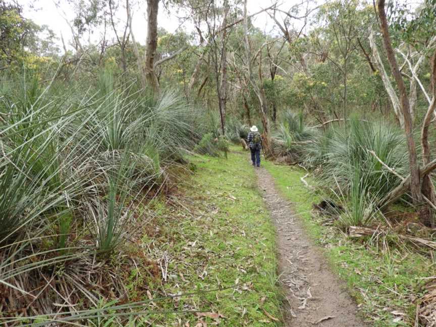 Warren Conservation Park, Mount Crawford, SA