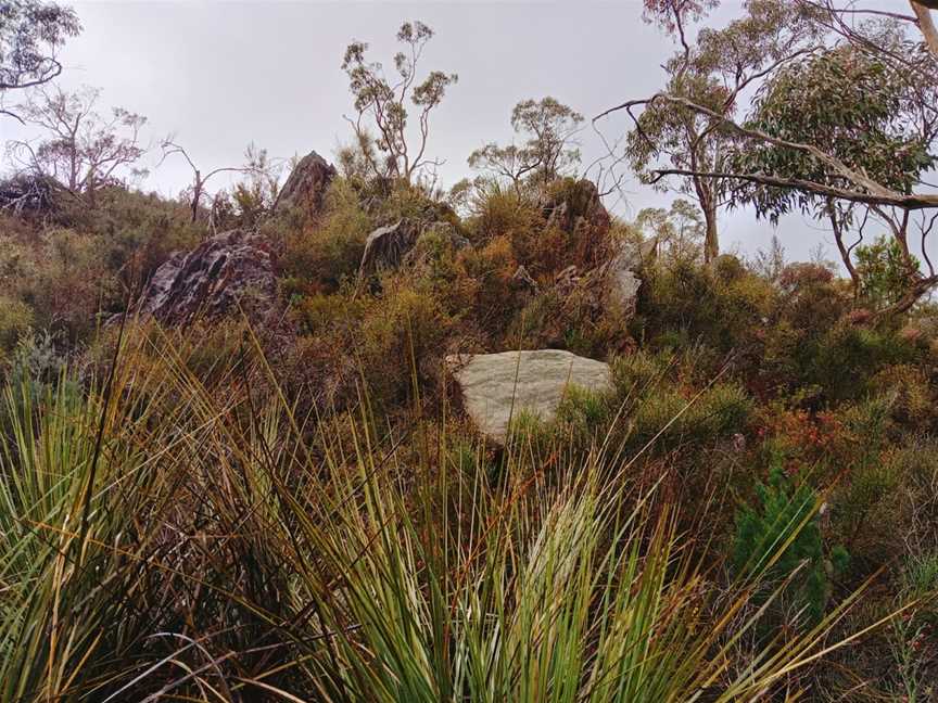 Warren Conservation Park, Mount Crawford, SA