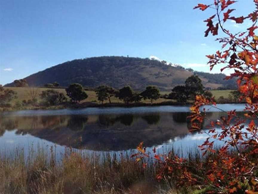 Mount Buninyong, Buninyong, VIC