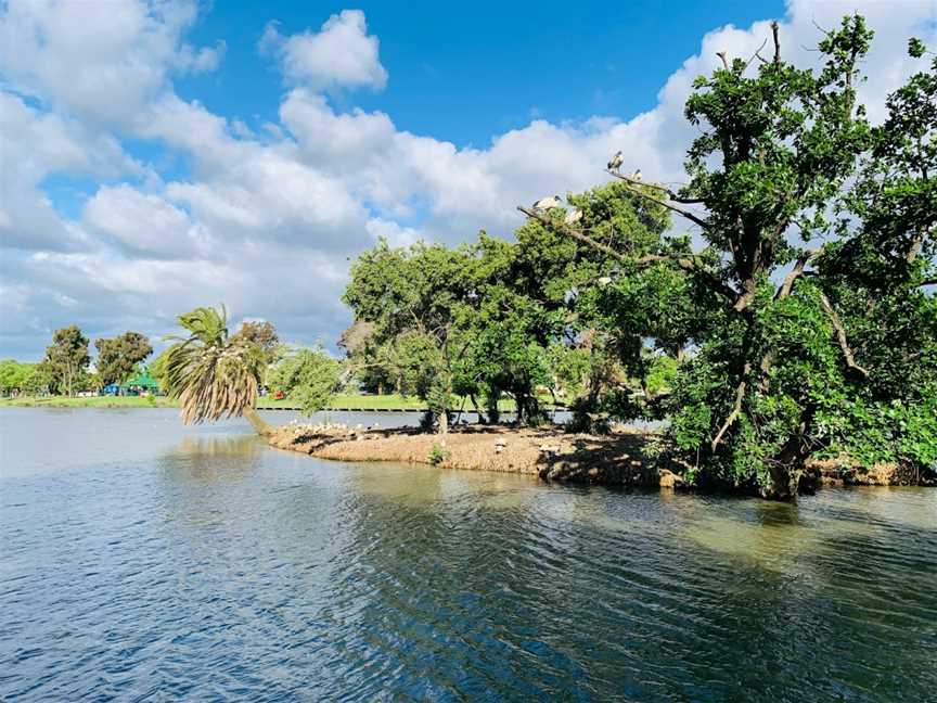 Lake Weeroona, Bendigo, VIC