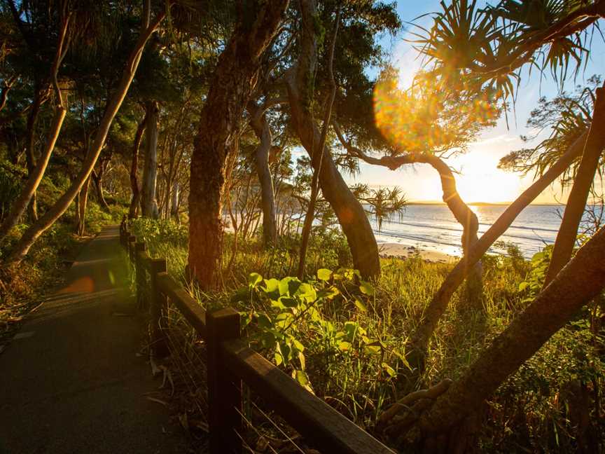 Noosa National Park, Noosa Heads, QLD