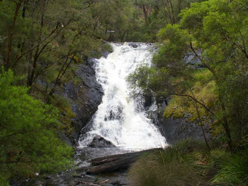 Greater Beedelup National Park, Pemberton, WA