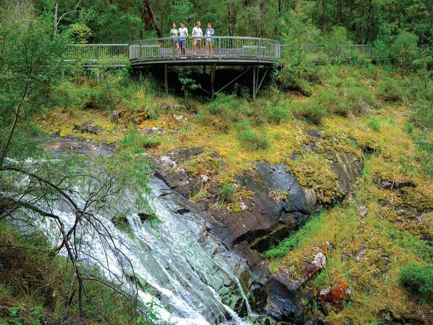 Greater Beedelup National Park, Pemberton, WA