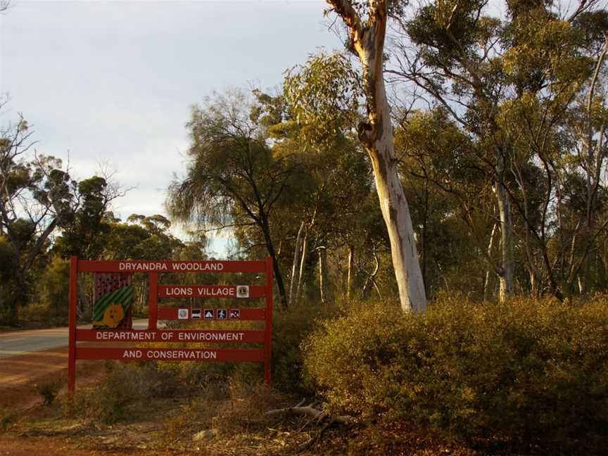 Dryandra Woodland National Park, Narrogin, WA