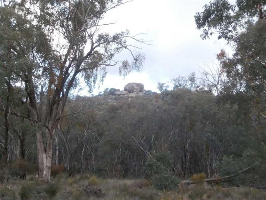 Migurra Reserve, Cootamundra, NSW