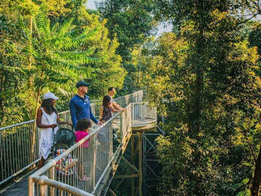 Mamu Tropical Skywalk, Innisfail, QLD