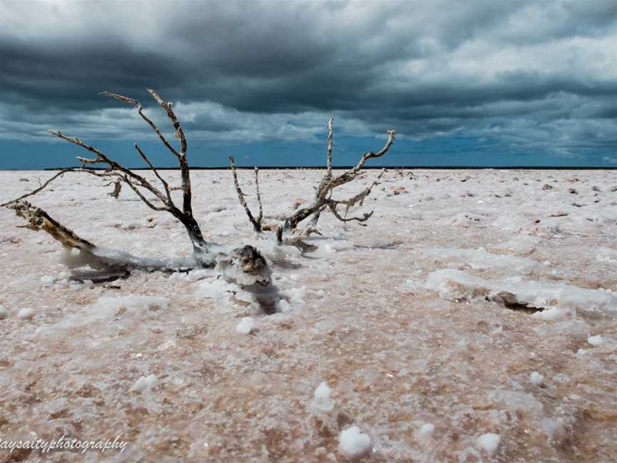 Francois Peron National Park, Denham, WA