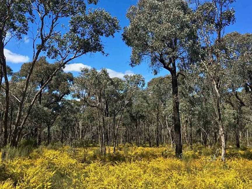 Greater Bendigo National Park, Eaglehawk North, VIC