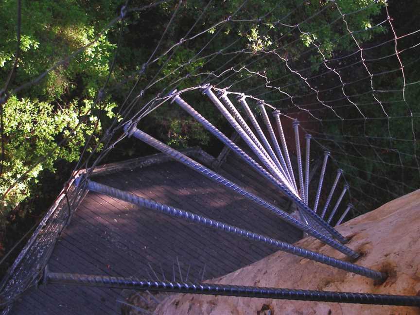 Dave Evans Bicentennial Tree, Pemberton, WA