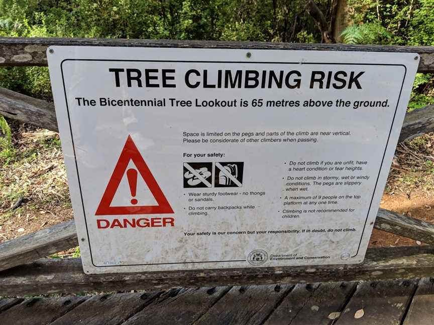 Dave Evans Bicentennial Tree, Pemberton, WA