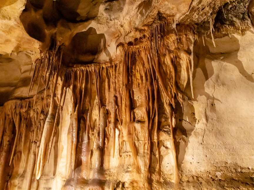 Princess Margaret Rose Caves, Mumbannar, VIC