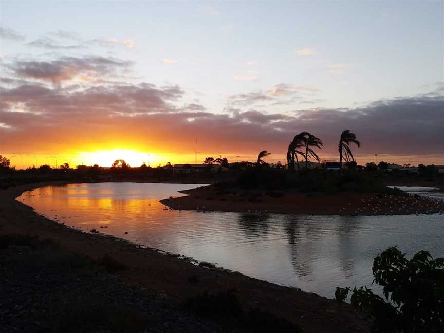 Whyalla Wetlands, Whyalla, SA