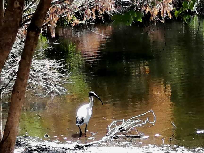 Neil McDougall Park, Como, WA