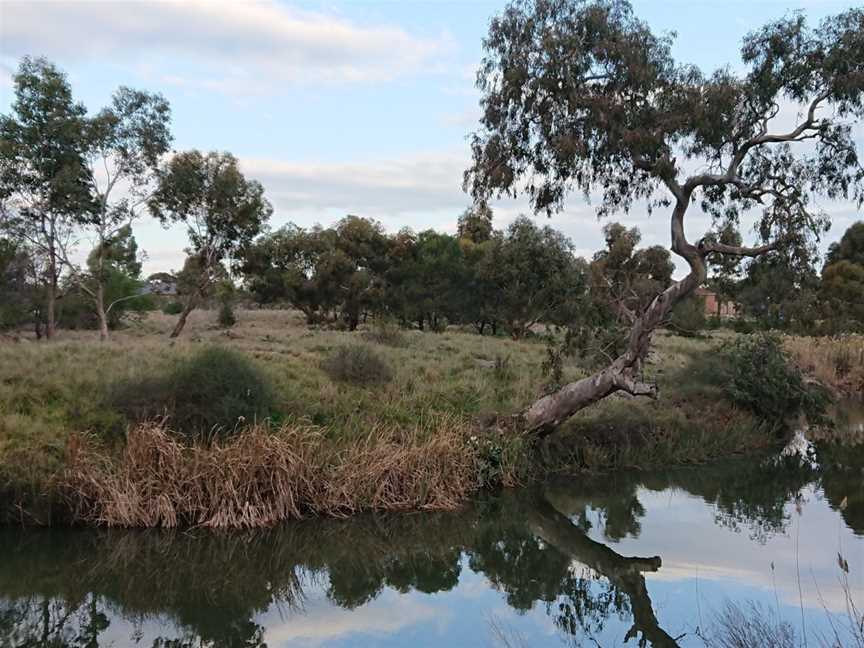 Black Powder Mill, Cairnlea, VIC