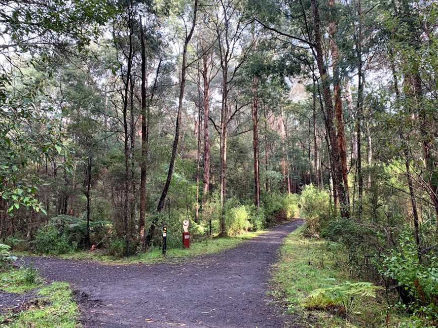 Nangara Reserve, Jindivick, VIC