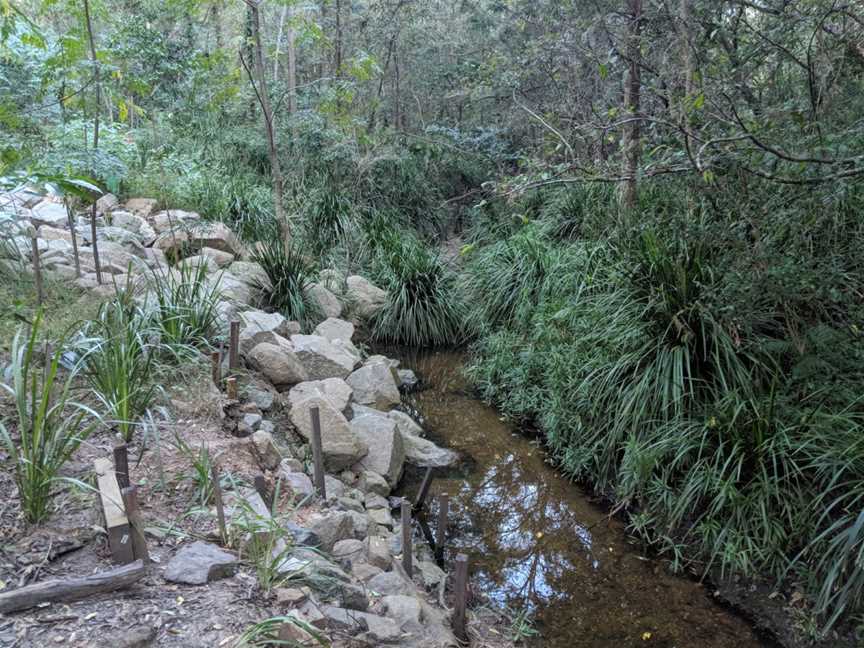 Seven Hills Bushland Reserve, Seven Hills, QLD