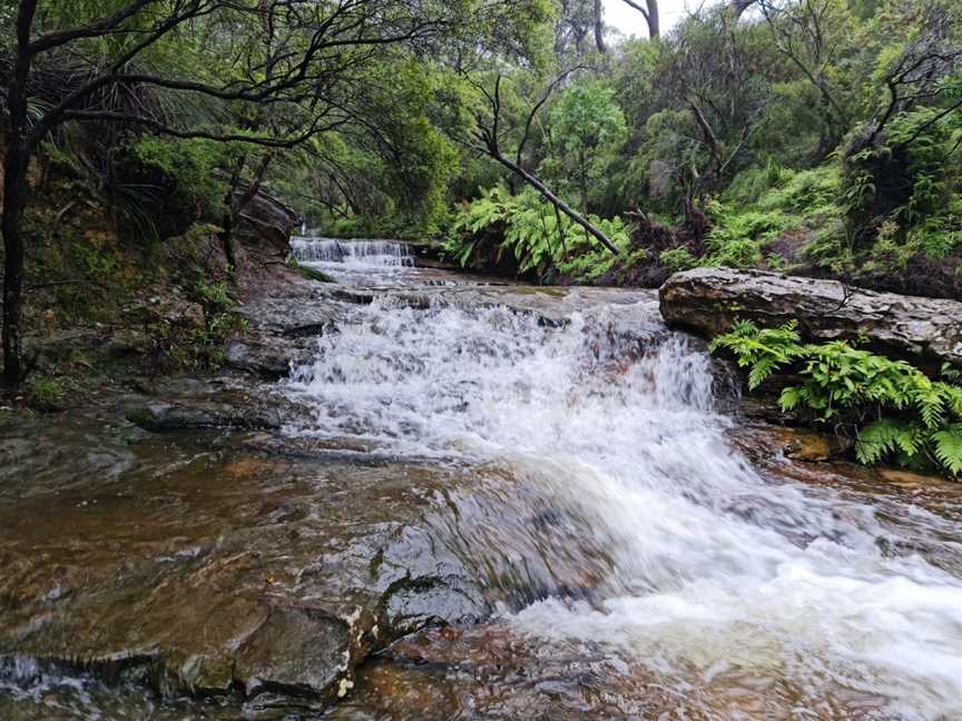 Wentworth Falls, Wentworth Falls, NSW