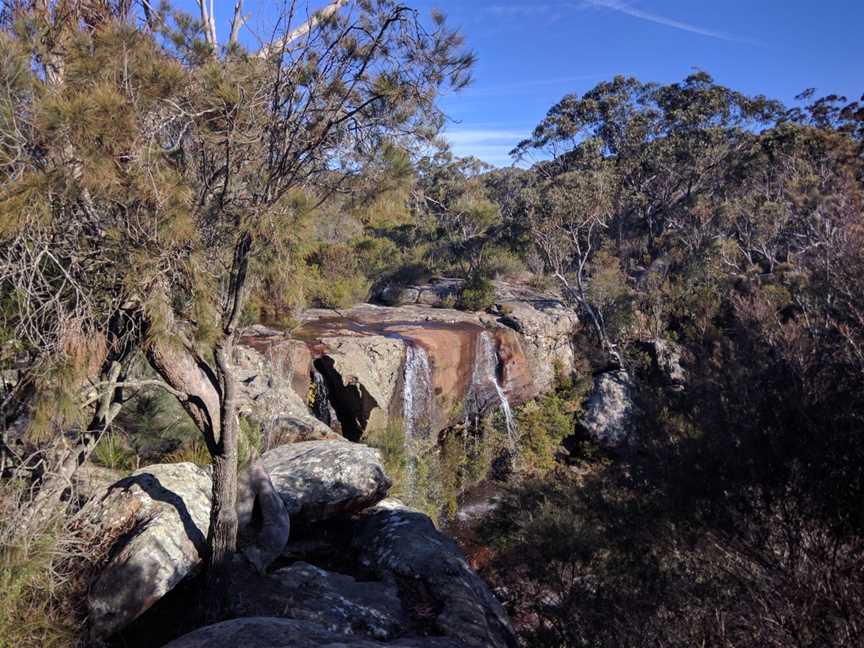 Dharawal National Park, Wedderburn, NSW