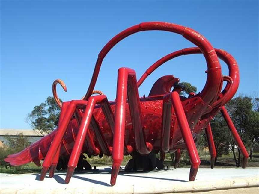 Big Western Rock Lobster, Tourist attractions in Dongara