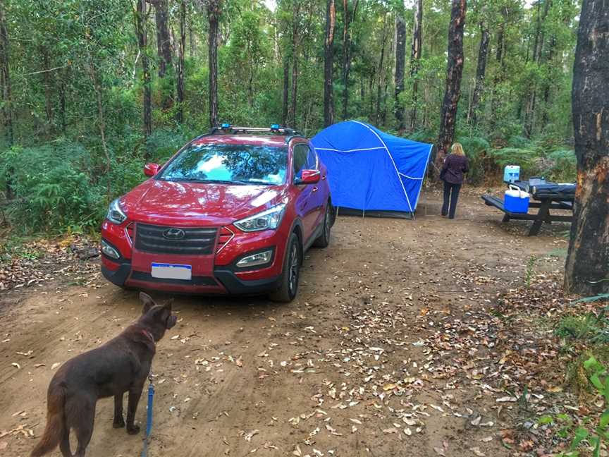 Wrights Bridge Campground