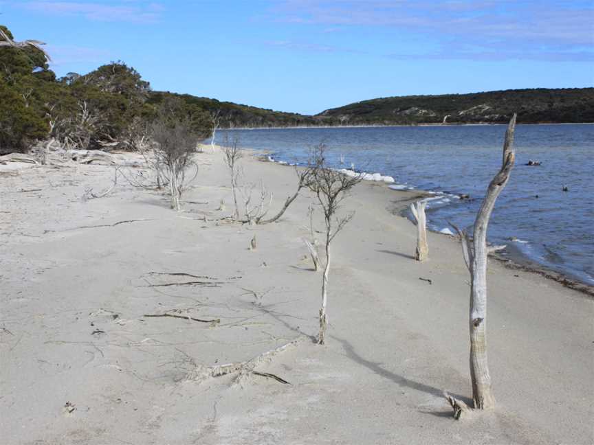 Hamersley Inlet Campground