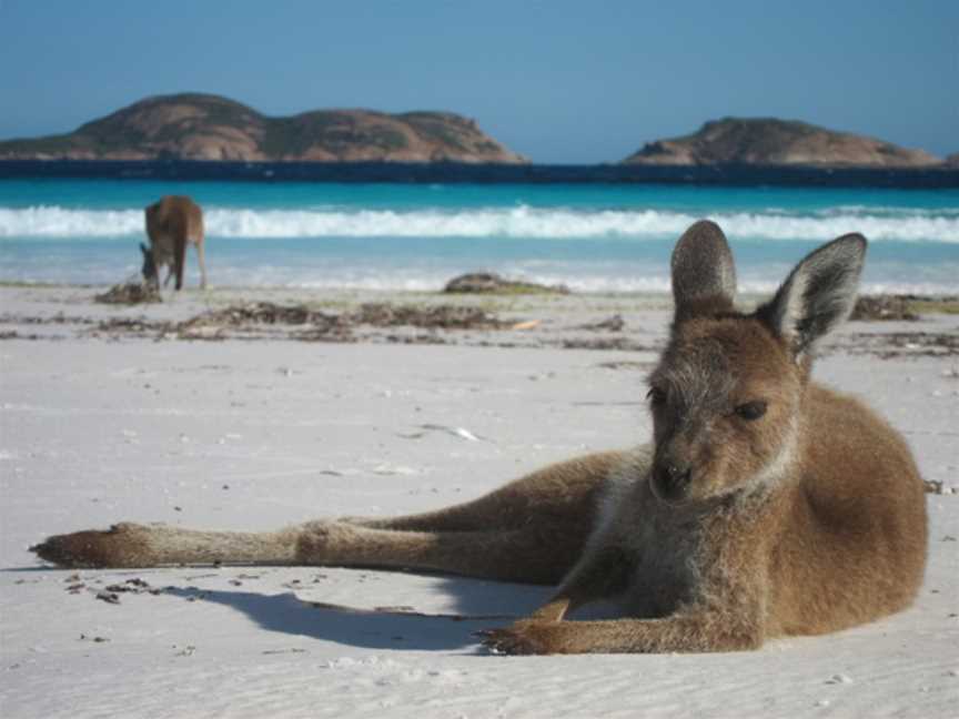 Lucky Bay Campground