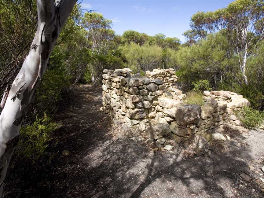 Thomas Fishery Campground