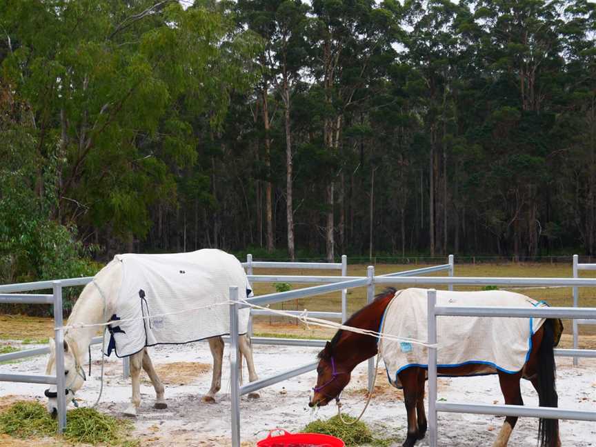 Shannon Horse Camp Campground