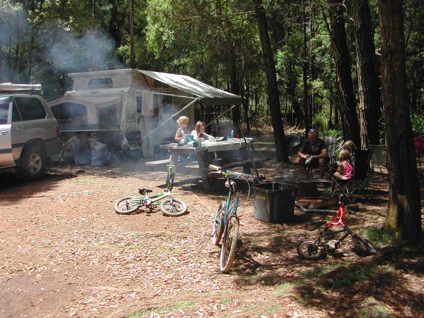 Big Brook Arboretum Campground