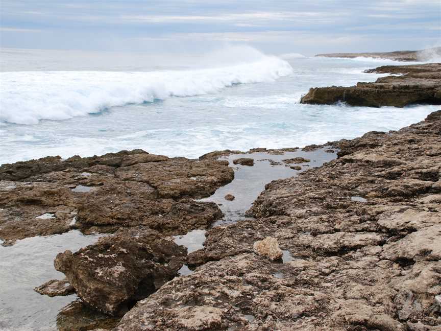 Urchin Point Campground