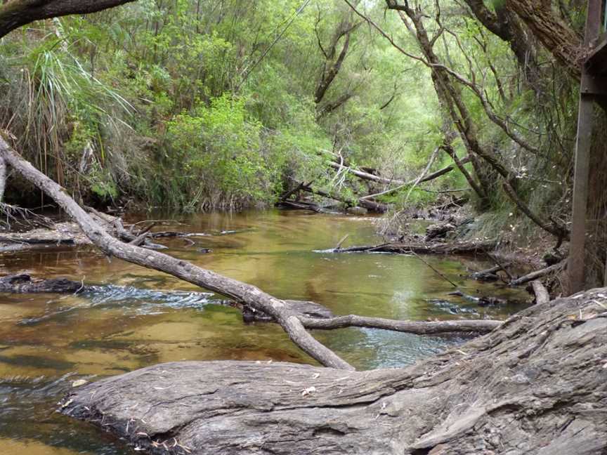 Snottygobble Loop Campground