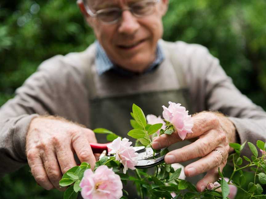 Capel Senior Citizens, Social clubs in Capel