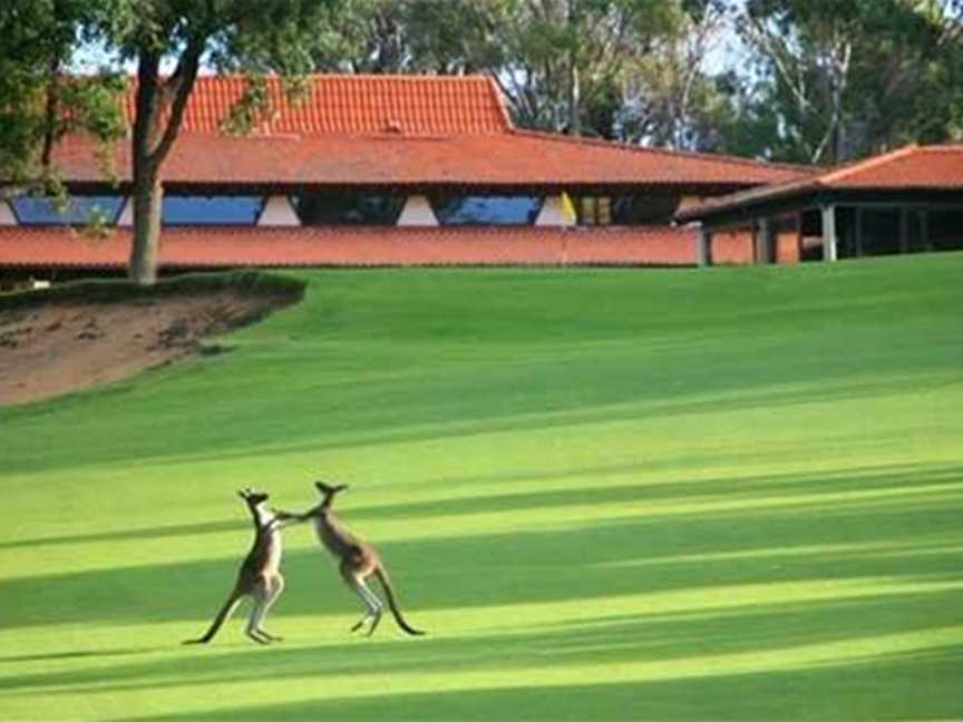 Lake Karrinyup Country Club, Social clubs in Karrinyup