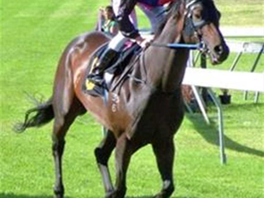 Mt Barker Turf Club, Social clubs in Mount Barker