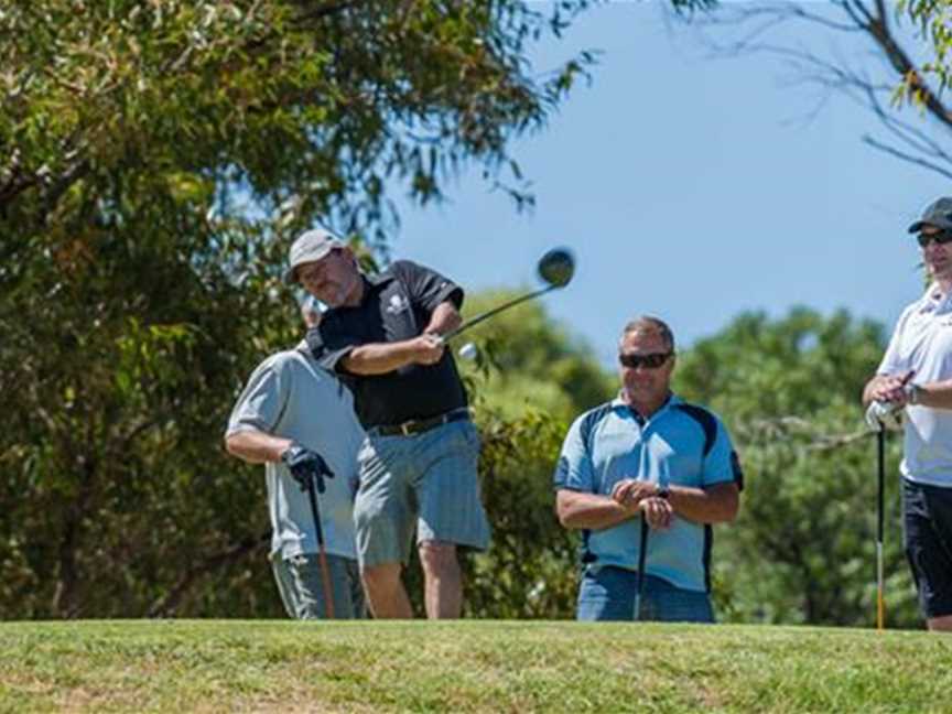 Dongara Golf Club, Social clubs in Port Denison