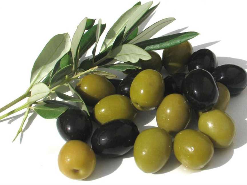 Dinninup Grove Olives, Food & drink in Boyup Brook